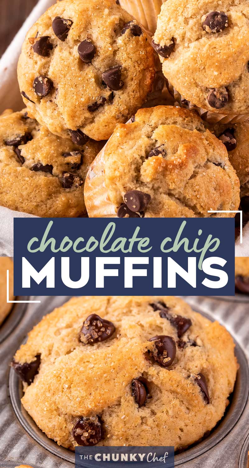 Chocolate Chip Muffins (family-favorite!) - The Chunky Chef