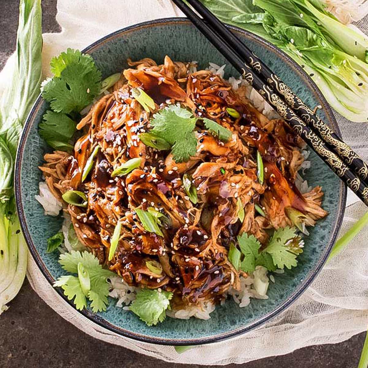 Slow Cooker Honey Garlic Chicken - Family Food on the Table