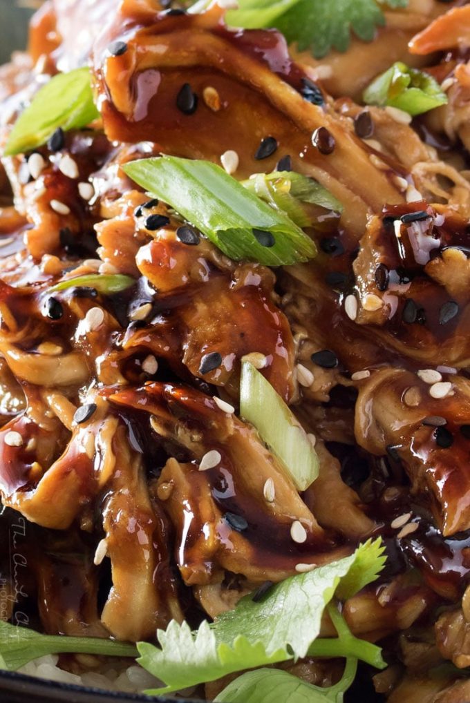 Slow Cooker Honey Garlic Chicken - The Chunky Chef