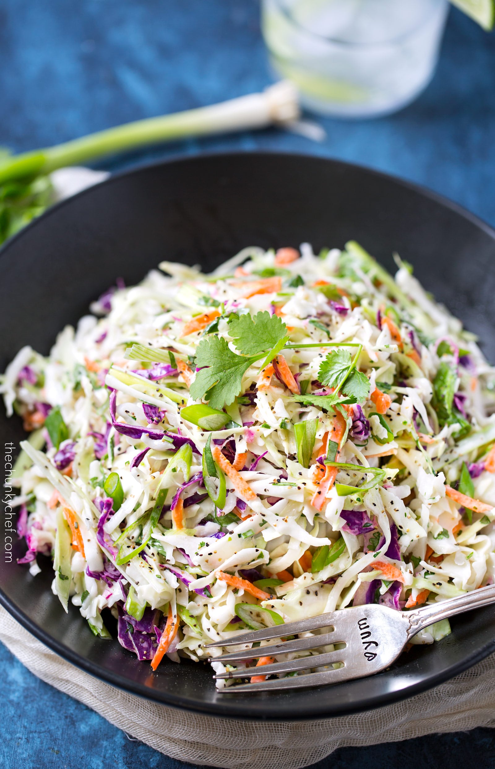 5 Minute Tequila Lime Coleslaw with Cilantro - The Chunky Chef