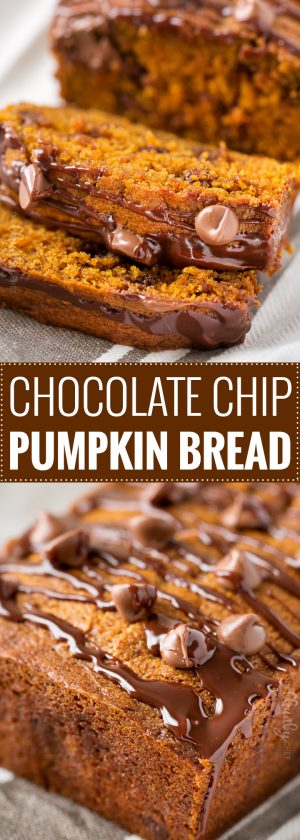 Chocolate Chip Pumpkin Bread - The Chunky Chef