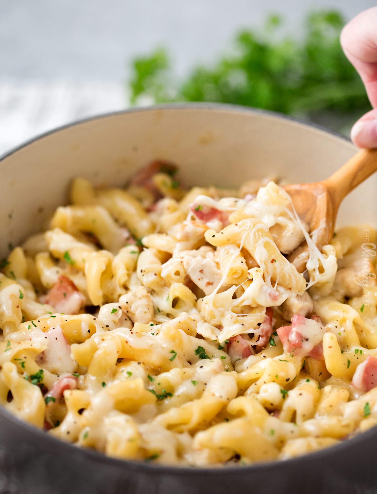 One Pot Creamy Chicken Cordon Bleu Pasta - The Chunky Chef