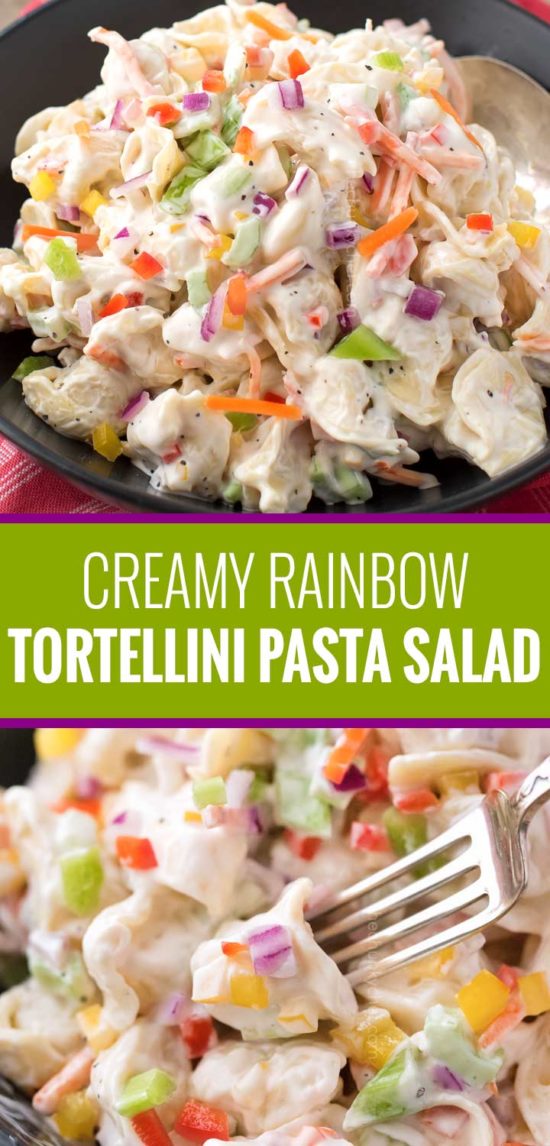 Creamy Rainbow Tortellini Salad - The Chunky Chef