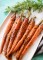 Slow Cooker Roasted Carrots - The Chunky Chef