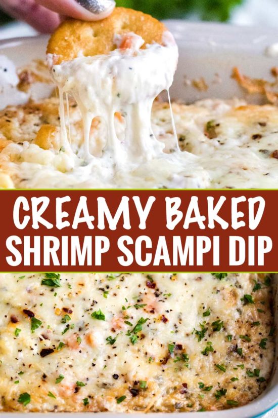 Cheesy Baked Shrimp Dip - The Chunky Chef