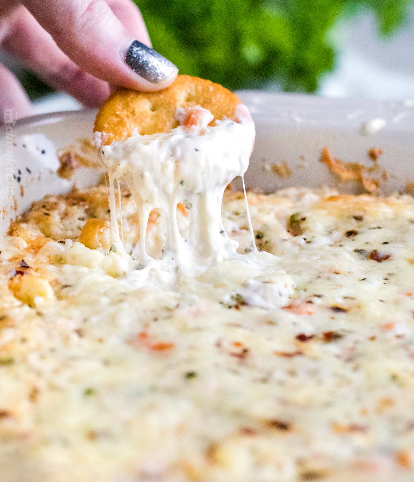 Cheesy Baked Shrimp Dip The Chunky Chef 9631