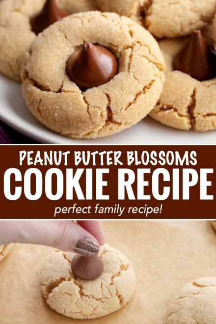 Peanut Butter Blossoms Cookie Recipe - The Chunky Chef