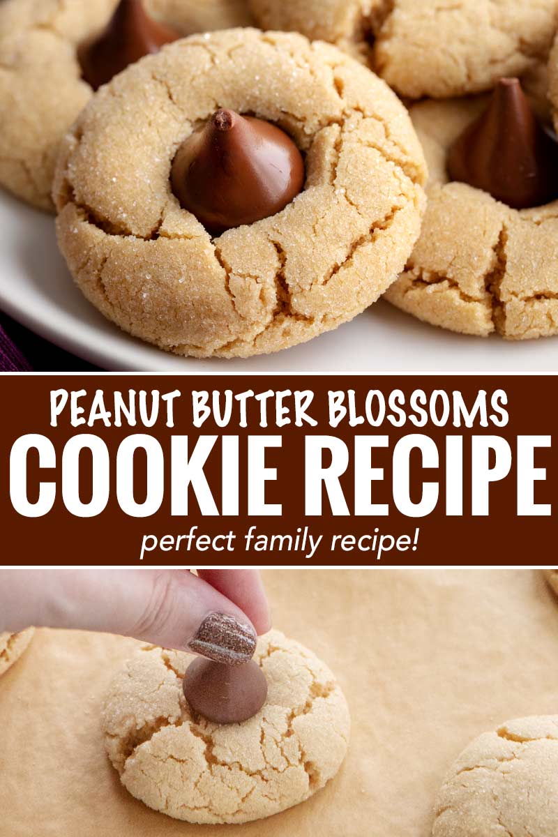 Peanut Butter Blossoms Cookie Recipe The Chunky Chef
