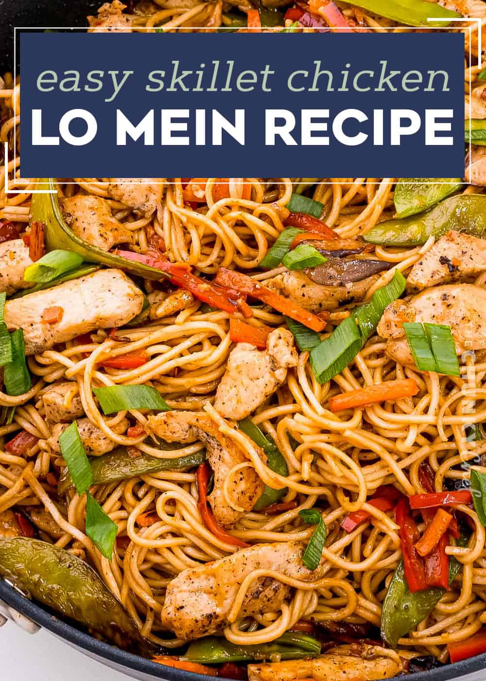 Chicken Lo Mein (easy to prep ahead) - The Chunky Chef