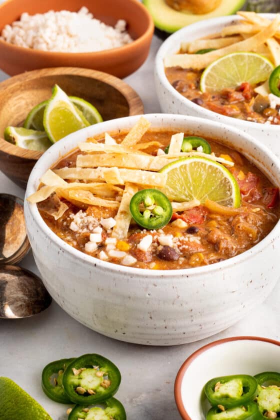 Vegetarian Tortilla Soup (with lentils) - The Chunky Chef