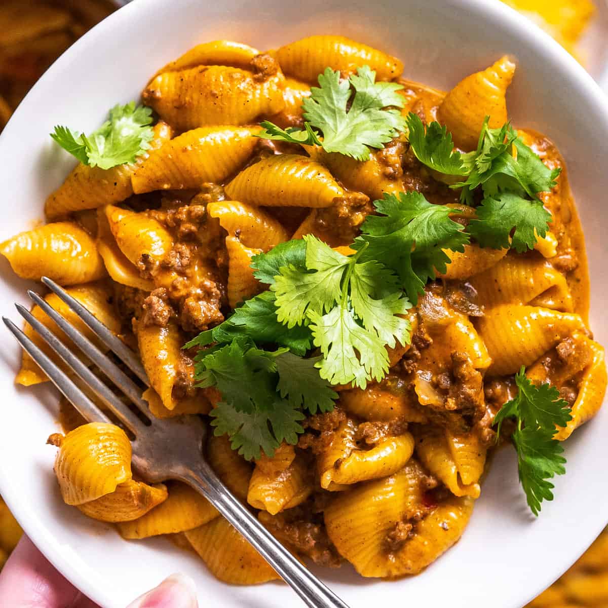 Instant Pot Cheesy Penne Pasta Recipe (PIcky Eater Favorite)