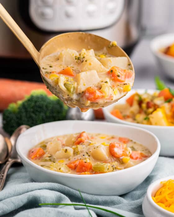 Instant Pot Creamy Vegetable Soup - The Chunky Chef