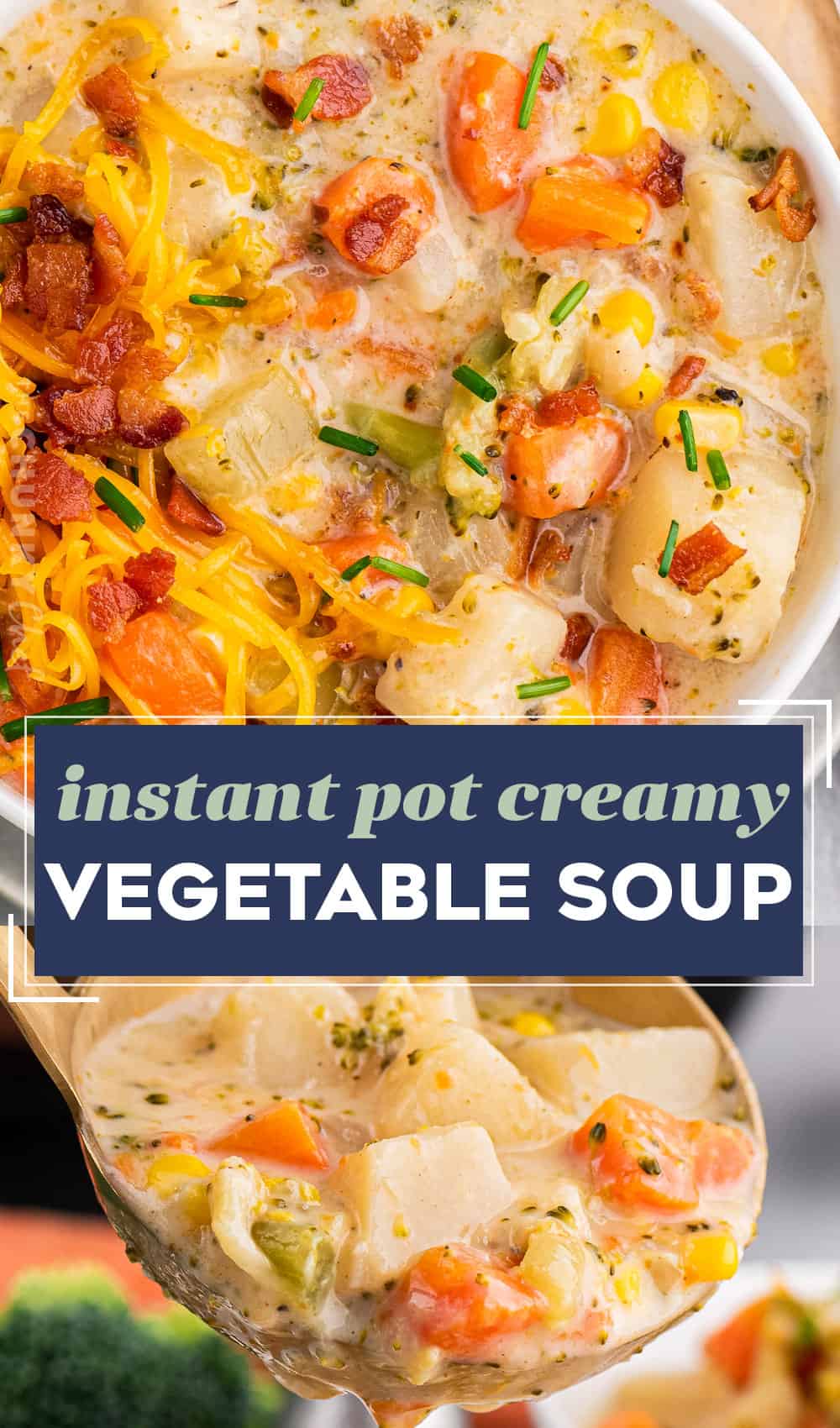 Instant Pot Creamy Vegetable Soup - The Chunky Chef