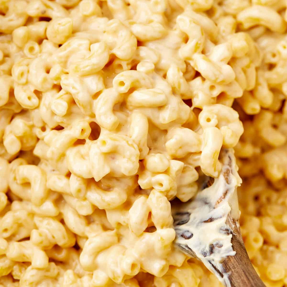 Stovetop Mac and Cheese (one pot recipe!) - The Chunky Chef