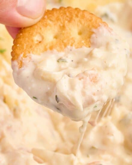 https://www.thechunkychef.com/wp-content/uploads/2023/12/Cheesy-Garlic-Baked-Shrimp-Dip-feat-440x550.jpg