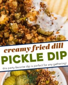 All the amazing flavors of fried pickles, in an addictive and delicious creamy dip! The pan-fried breadcrumbs and chopped pickles add the toasty crunch you crave, and the creamy base has ranch seasoning to kick up the flavor even more. Great for a party, game day, or tailgating!