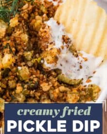 All the amazing flavors of fried pickles, in an addictive and delicious creamy dip! The pan-fried breadcrumbs and chopped pickles add the toasty crunch you crave, and the creamy base has ranch seasoning to kick up the flavor even more. Great for a party, game day, or tailgating!