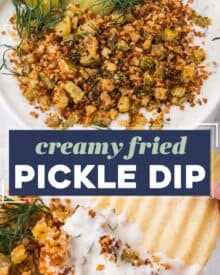 All the amazing flavors of fried pickles, in an addictive and delicious creamy dip! The pan-fried breadcrumbs and chopped pickles add the toasty crunch you crave, and the creamy base has ranch seasoning to kick up the flavor even more. Great for a party, game day, or tailgating!