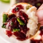 holding a cracker topped with cranberry jalapeno cream cheese dip.