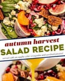 This autumn harvest salad uses plenty of in-season produce, and is great as a side or even a light dinner! The light apple cider orange vinaigrette perfectly elevates the flavors of sharp blue cheese, crisp apples, sweet figs, pickled red onion, candied pecans and more.