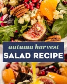 This autumn harvest salad uses plenty of in-season produce, and is great as a side or even a light dinner! The light apple cider orange vinaigrette perfectly elevates the flavors of sharp blue cheese, crisp apples, sweet figs, pickled red onion, candied pecans and more.