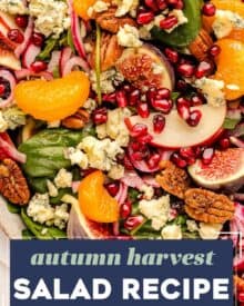 This autumn harvest salad uses plenty of in-season produce, and is great as a side or even a light dinner! The light apple cider orange vinaigrette perfectly elevates the flavors of sharp blue cheese, crisp apples, sweet figs, pickled red onion, candied pecans and more.