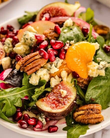 This autumn harvest salad uses plenty of in-season produce, and is great as a side or even a light dinner! The light apple cider orange vinaigrette perfectly elevates the flavors of sharp blue cheese, crisp apples, sweet figs, pickled red onion, candied pecans and more.