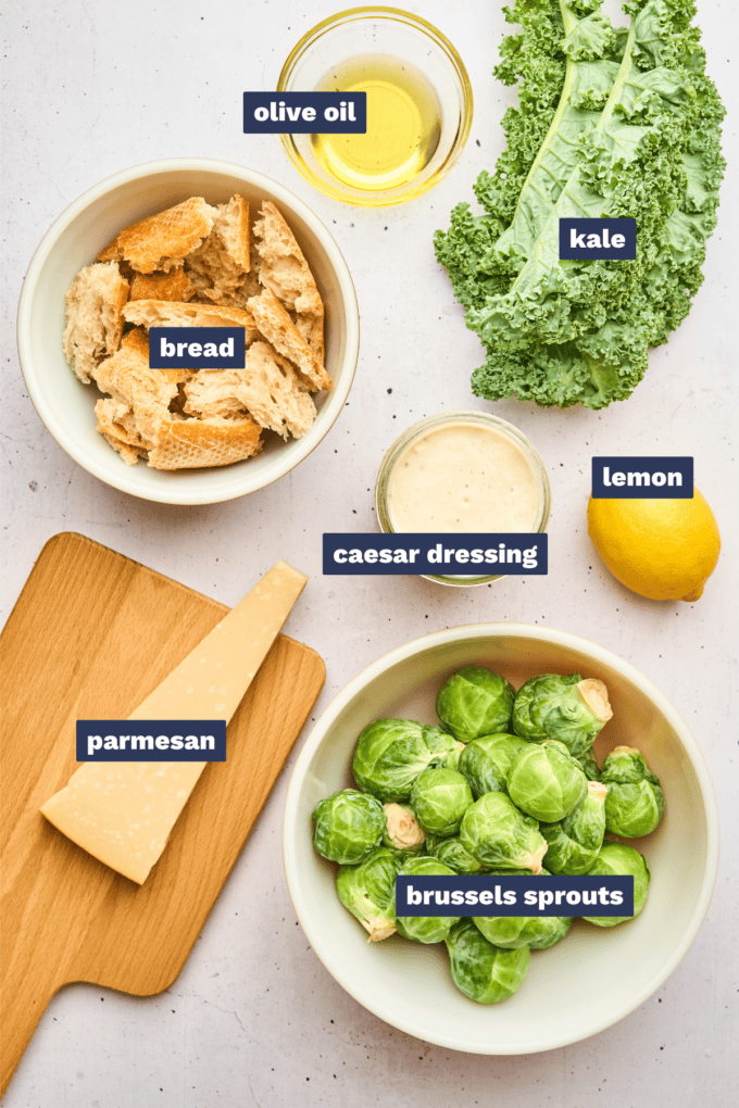 ingredients needed for making a brussels sprouts caesar salad.