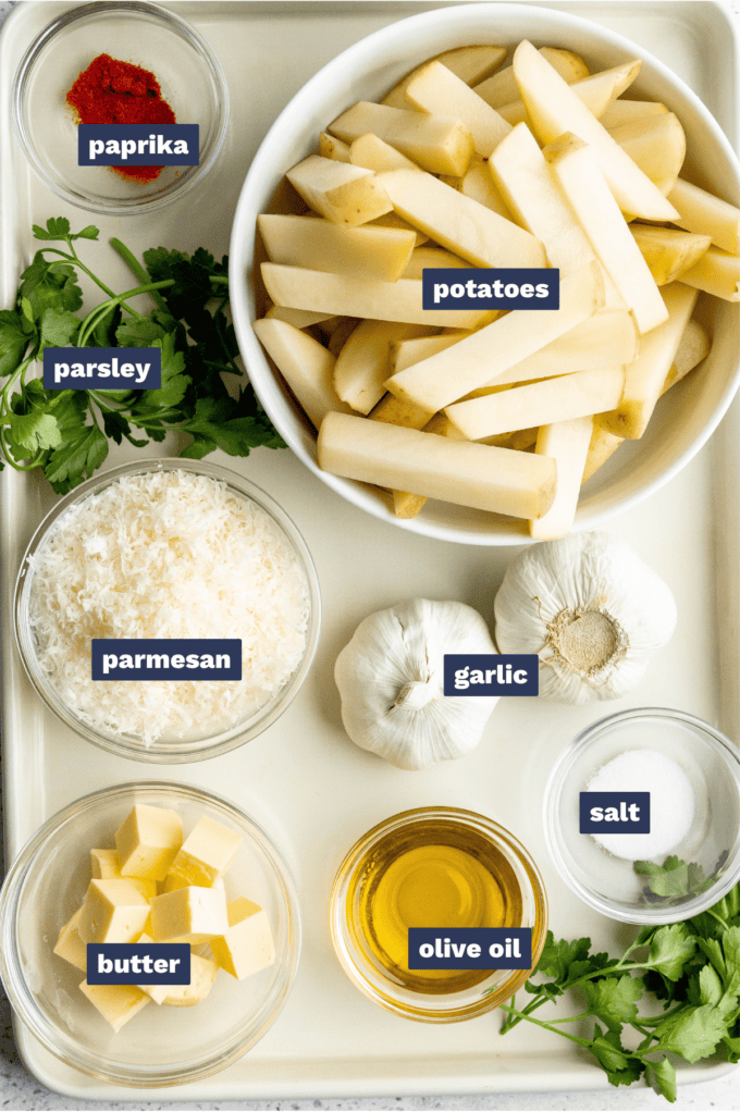 ingredients needed to make air fryer garlic parmesan french fries.